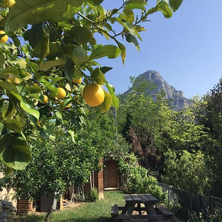 Au Pied Des Baous Bed & Breakfast Vence Luaran gambar