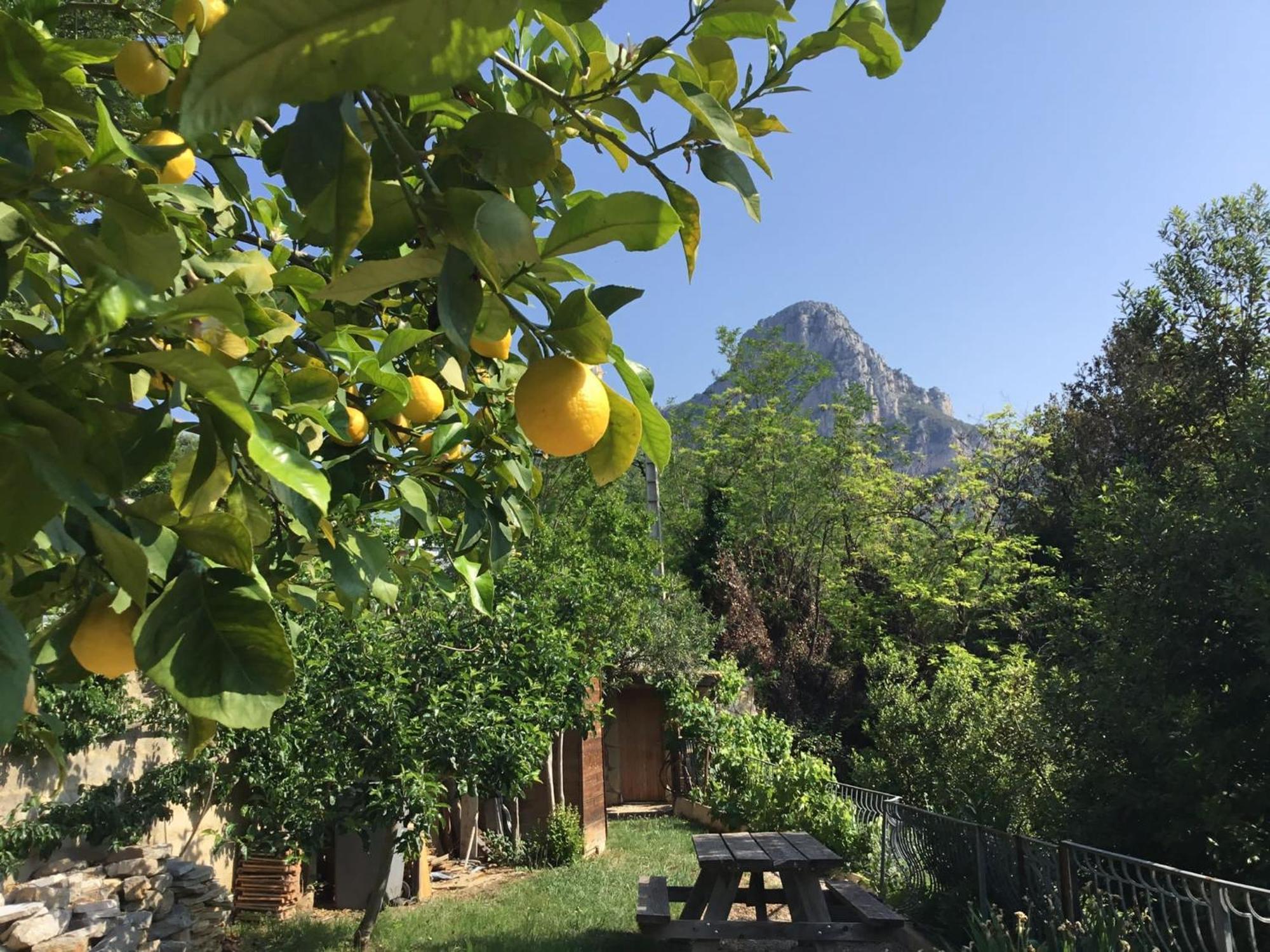 Au Pied Des Baous Bed & Breakfast Vence Luaran gambar